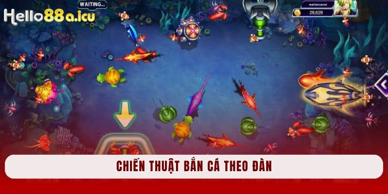 Chiến thuật bắn cá theo đàn