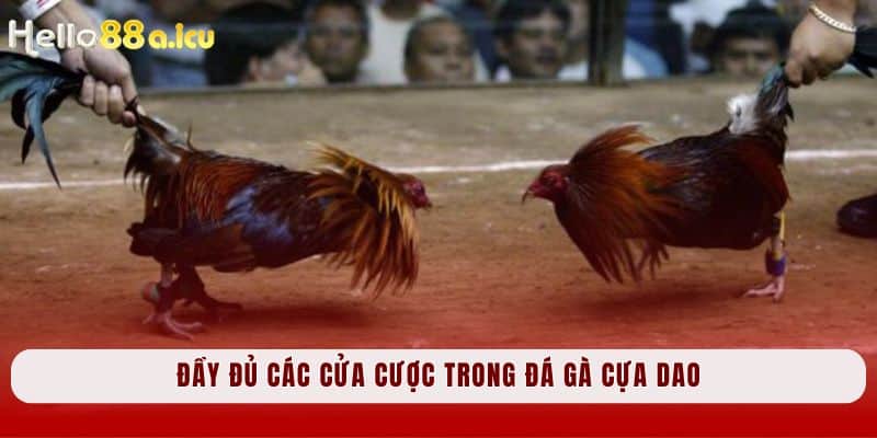 Đầy đủ các cửa cược trong đá gà cựa dao