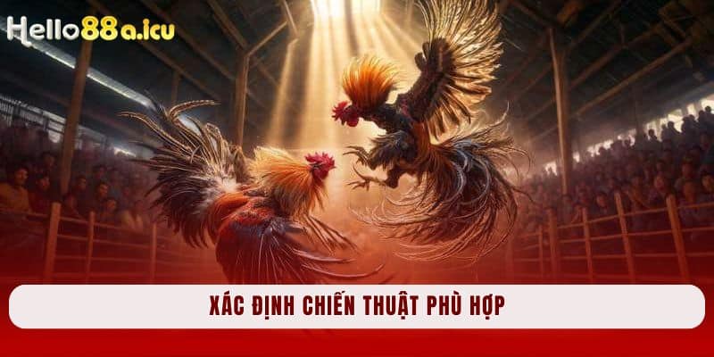 Xác định chiến thuật phù hợp